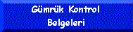 gumrokkontrol.gif (2569 bytes)